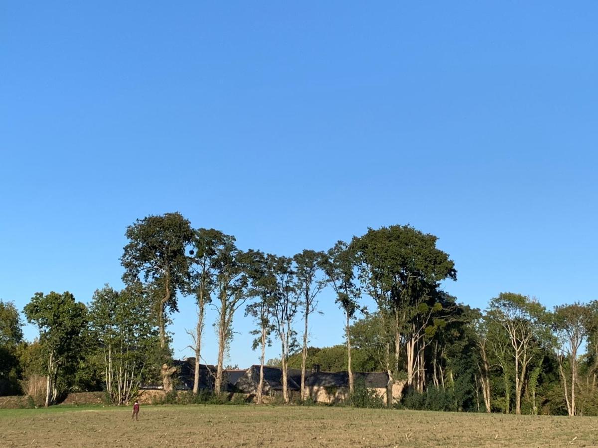 Villa Jolie métairie d'une Seigneurie bretonne. à Peaule Extérieur photo